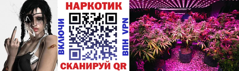 Виды наркотиков купить Новомосковск ГАШ  Галлюциногенные грибы  Амфетамин  МЕФ  А ПВП  Cocaine 