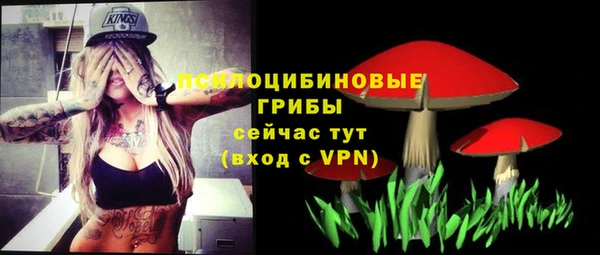 сатива Каменск-Шахтинский