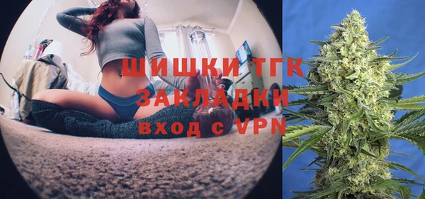 сатива Каменск-Шахтинский