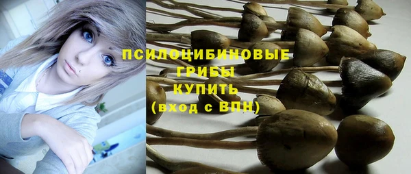 сатива Каменск-Шахтинский