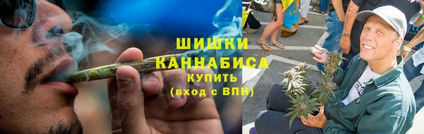 сатива Каменск-Шахтинский