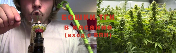 сатива Каменск-Шахтинский